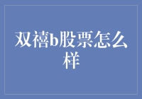 双禧B股票：一场投资界的黑眼圈风潮