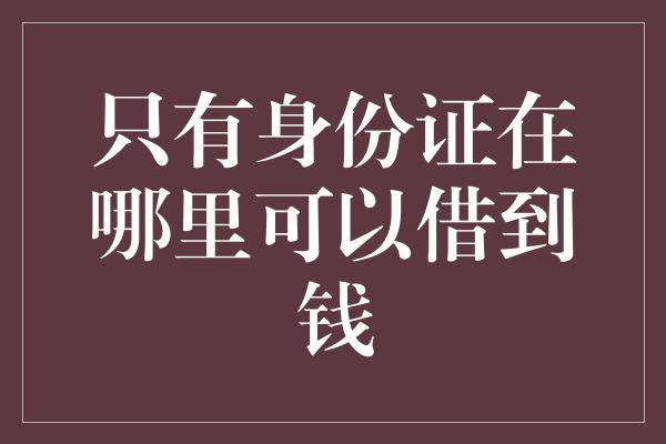 只有身份证在哪里可以借到钱