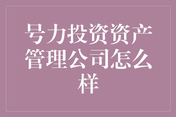 号力投资资产管理公司怎么样