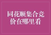 同花顺集合竞价实时查看策略：提升投资决策的透明度