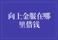 上向金服在哪里借钱？原来是支付宝新宠啊！