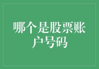 股票账户号码：那个神秘的数字背后的秘密