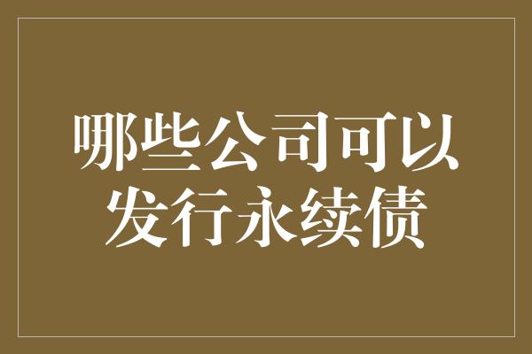 哪些公司可以发行永续债