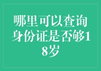 身份证年龄查询的秘密武器