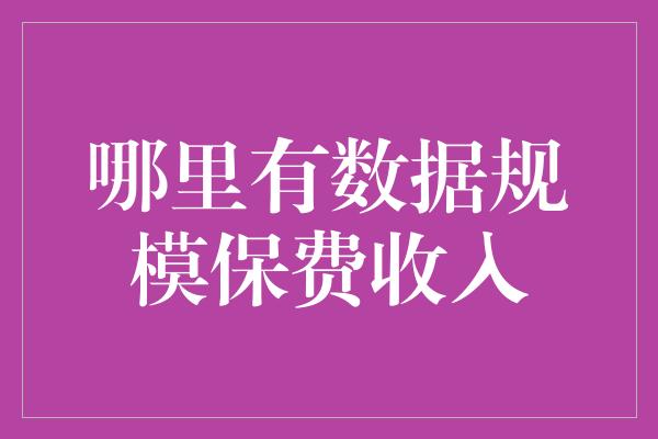 哪里有数据规模保费收入