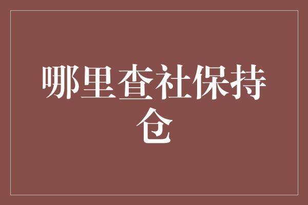 哪里查社保持仓