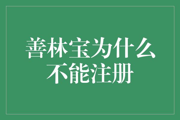 善林宝为什么不能注册