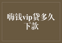 哈喽，嗨钱VIP贷多久能下款？我猜得比你准！