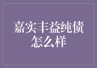 嘉实丰益纯债基金深度剖析：稳健投资的典范