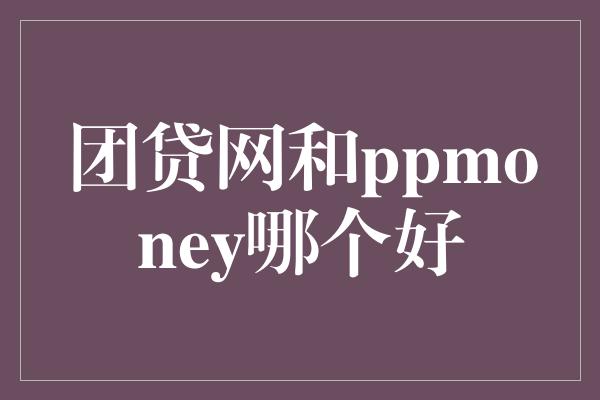 团贷网和ppmoney哪个好