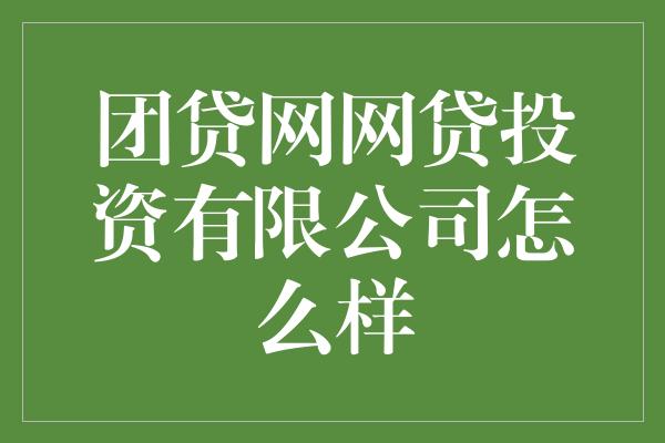 团贷网网贷投资有限公司怎么样