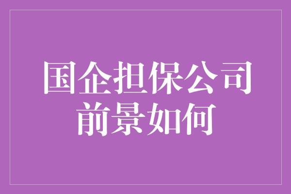 国企担保公司前景如何