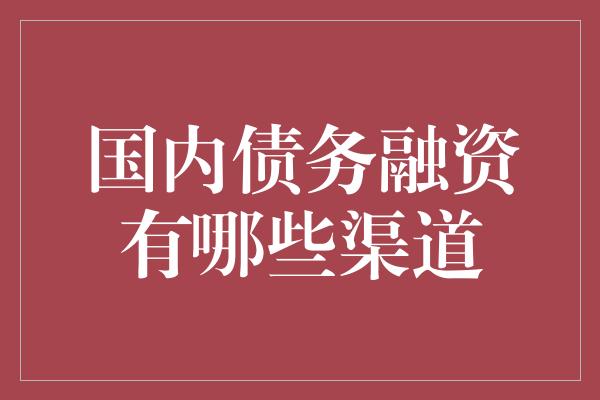 国内债务融资有哪些渠道