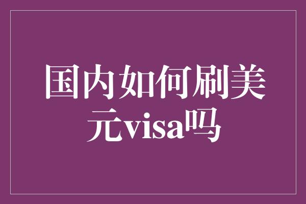 国内如何刷美元visa吗