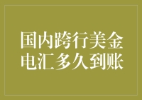 国内跨行美金电汇到账时间解析：影响因素与应对策略