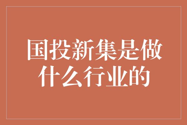 国投新集是做什么行业的