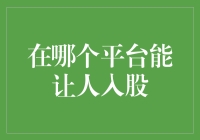 股民的新阵地？在哪个平台能让人入股？