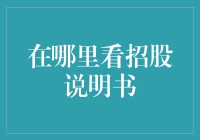 探索证券市场的透明之窗：掌握阅读招股说明书的技巧