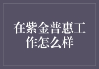 在紫金普惠工作是一场智慧与责任的旅程