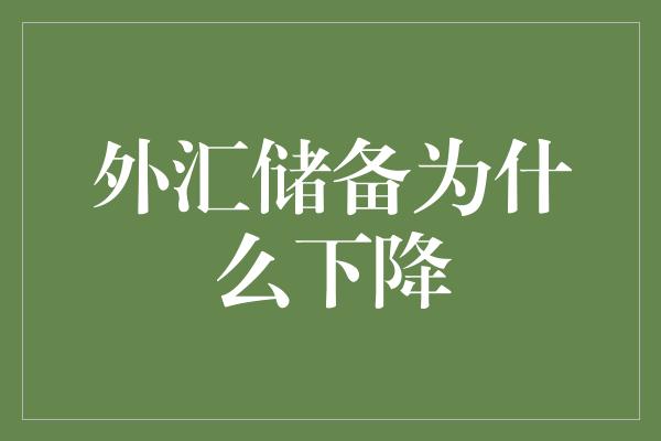 外汇储备为什么下降