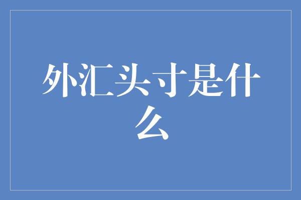 外汇头寸是什么