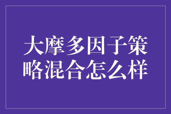 大摩多因子策略混合怎么样