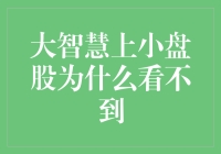 大智慧上小盘股为什么看不到？可能是因为小嘛！