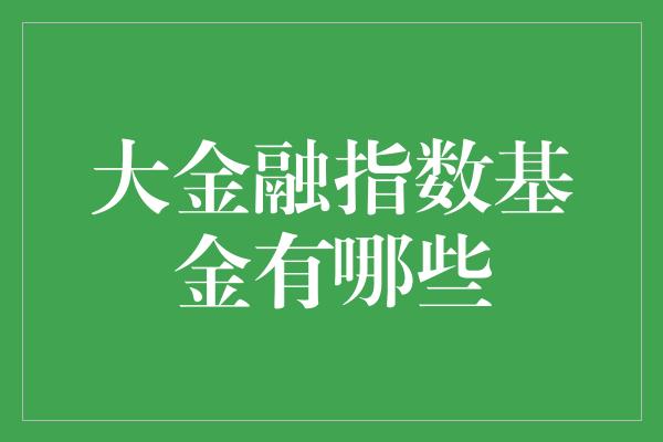 大金融指数基金有哪些