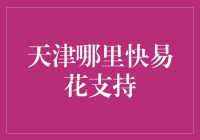 天津哪些地区支持快易花：便捷金融服务的普及与挑战