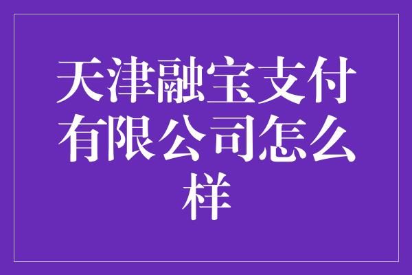 天津融宝支付有限公司怎么样