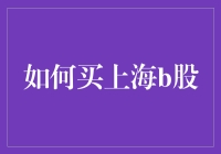 如何聪明地投资于上海B股市场：策略与技巧