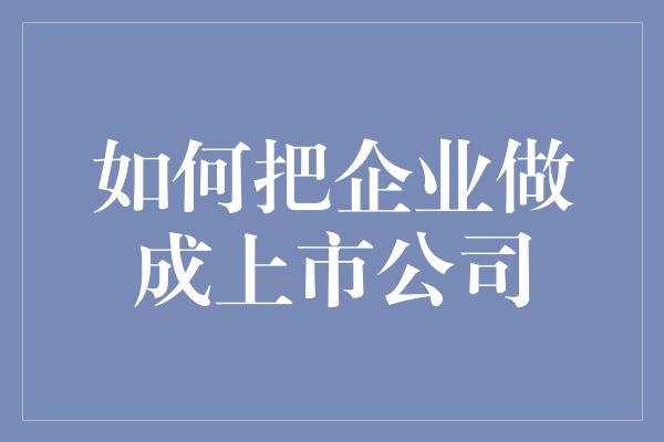 如何把企业做成上市公司