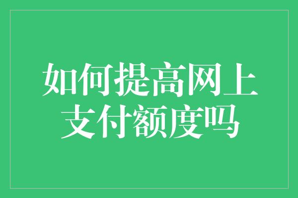 如何提高网上支付额度吗