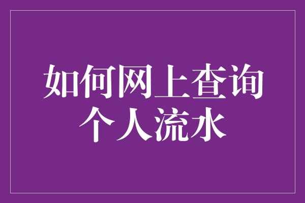 如何网上查询个人流水