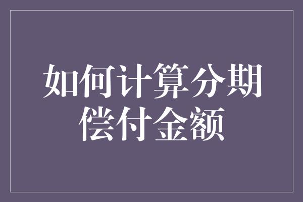 如何计算分期偿付金额