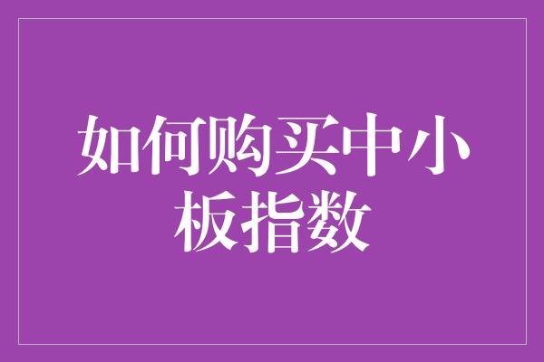 如何购买中小板指数