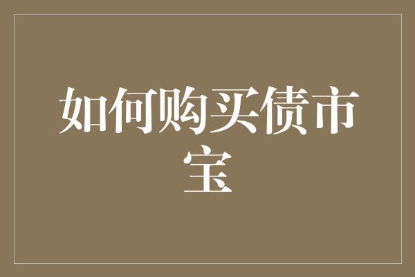 如何购买债市宝