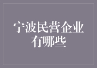 宁波民营企业：推动地方经济发展的中坚力量