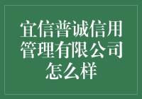 宜信普诚信用管理有限公司：专业、严苛、稳健的金融信用管理公司