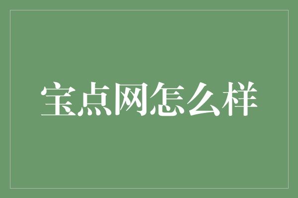 宝点网怎么样