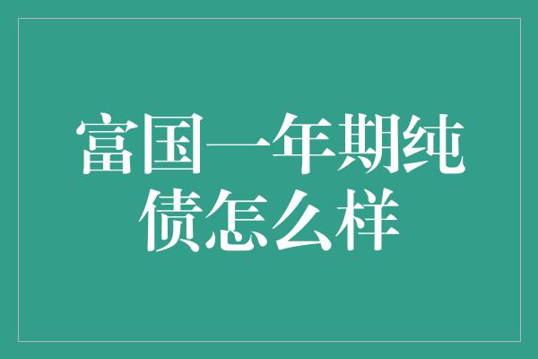 富国一年期纯债怎么样