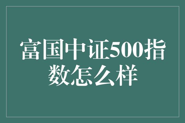 富国中证500指数怎么样