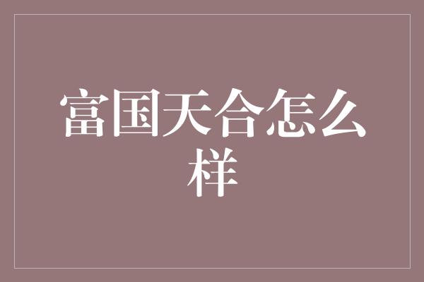 富国天合怎么样