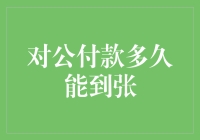 对公付款到账时间揭秘：一场关于金钱消失与降临的奇幻之旅