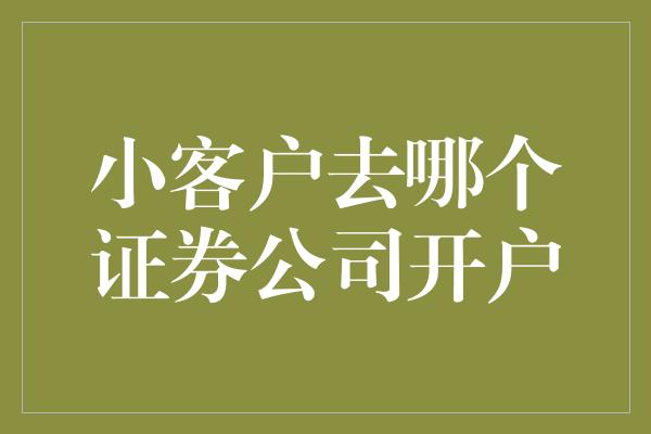 小客户去哪个证券公司开户