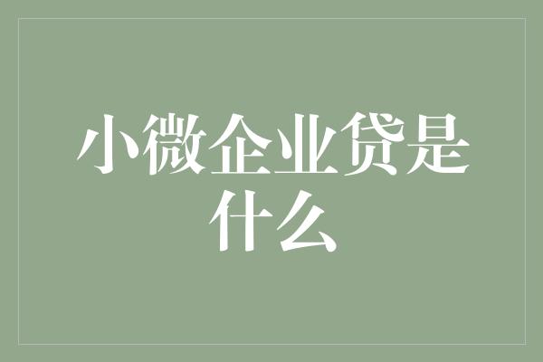 小微企业贷是什么