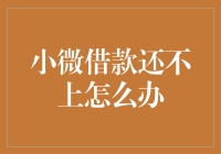 小微借款还不上怎么办？不如来一场创意自救运动吧！