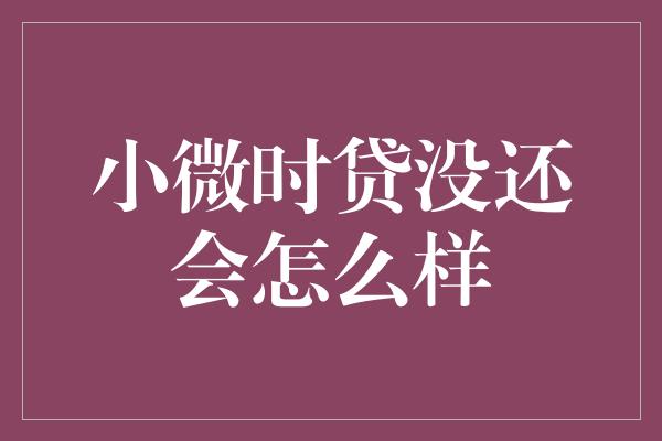 小微时贷没还会怎么样