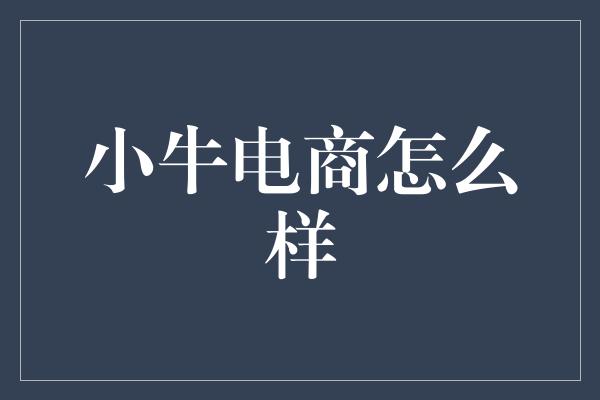 小牛电商怎么样