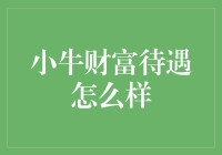 小牛财富待遇怎么样？揭秘财富管理行业里的牛气冲天待遇